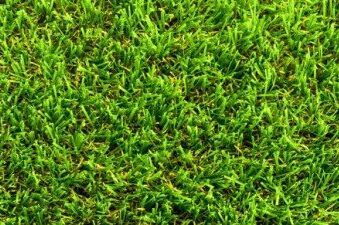 Envie kunstgras Envie (+/- 3 cm dikte)