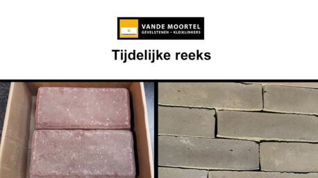 Tijdelijke reeks